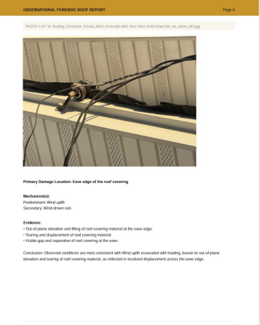 Sample report findings page